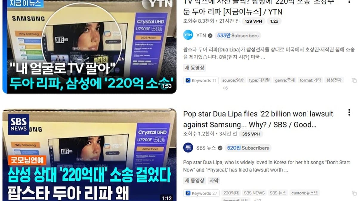 "TV 박스에 내 얼굴이 왜?" 두아 리파, 삼성전자에 1,500만 달러 소송 제기