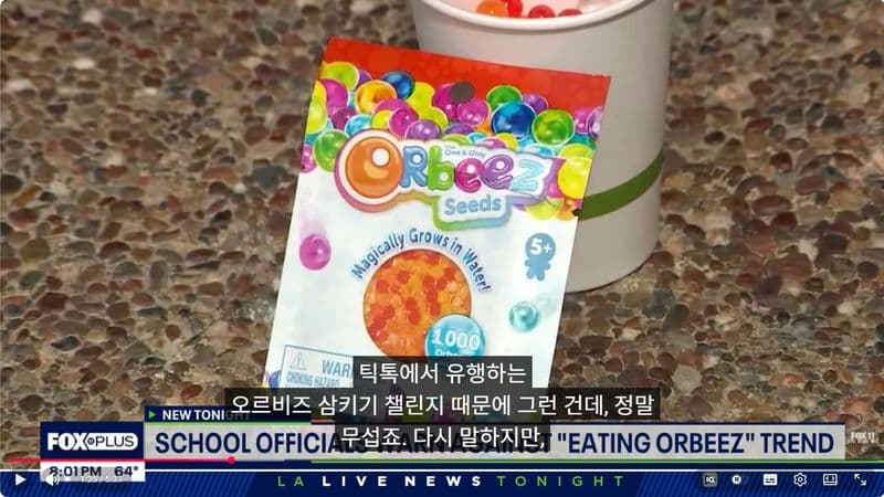 "삼키면 배 속에서 400배 커진다"… LA 학교 발칵 뒤집힌 틱톡 ‘오르비즈 먹기’ 쇼크