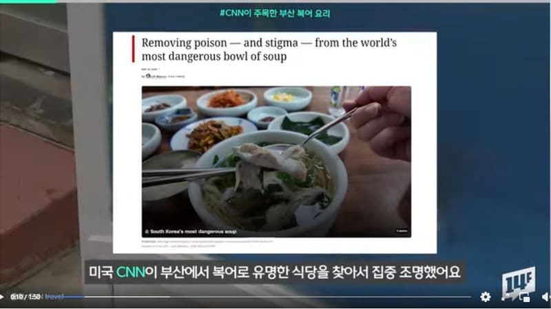 "죽여주는 맛"… 한국의 복어 요리, CNN이 꼽은 '세계에서 가장 위험한 국물 요리'