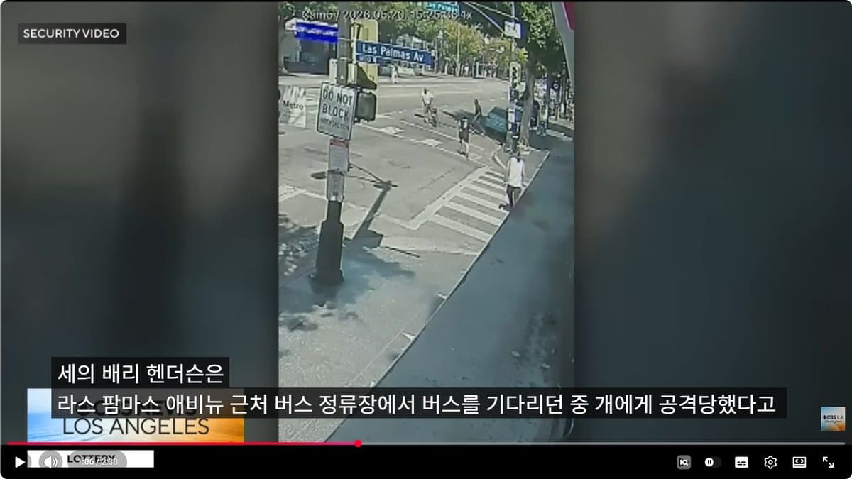 대낮 할리우드 한복판서 살인... 개 공격 피하다 흉기 꺼낸 남성, 개 주인 등 집단 폭행·흉기 피습 사망